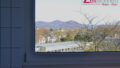 Zeitwohnen 8